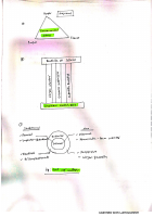 ethics diagrams.pdf
